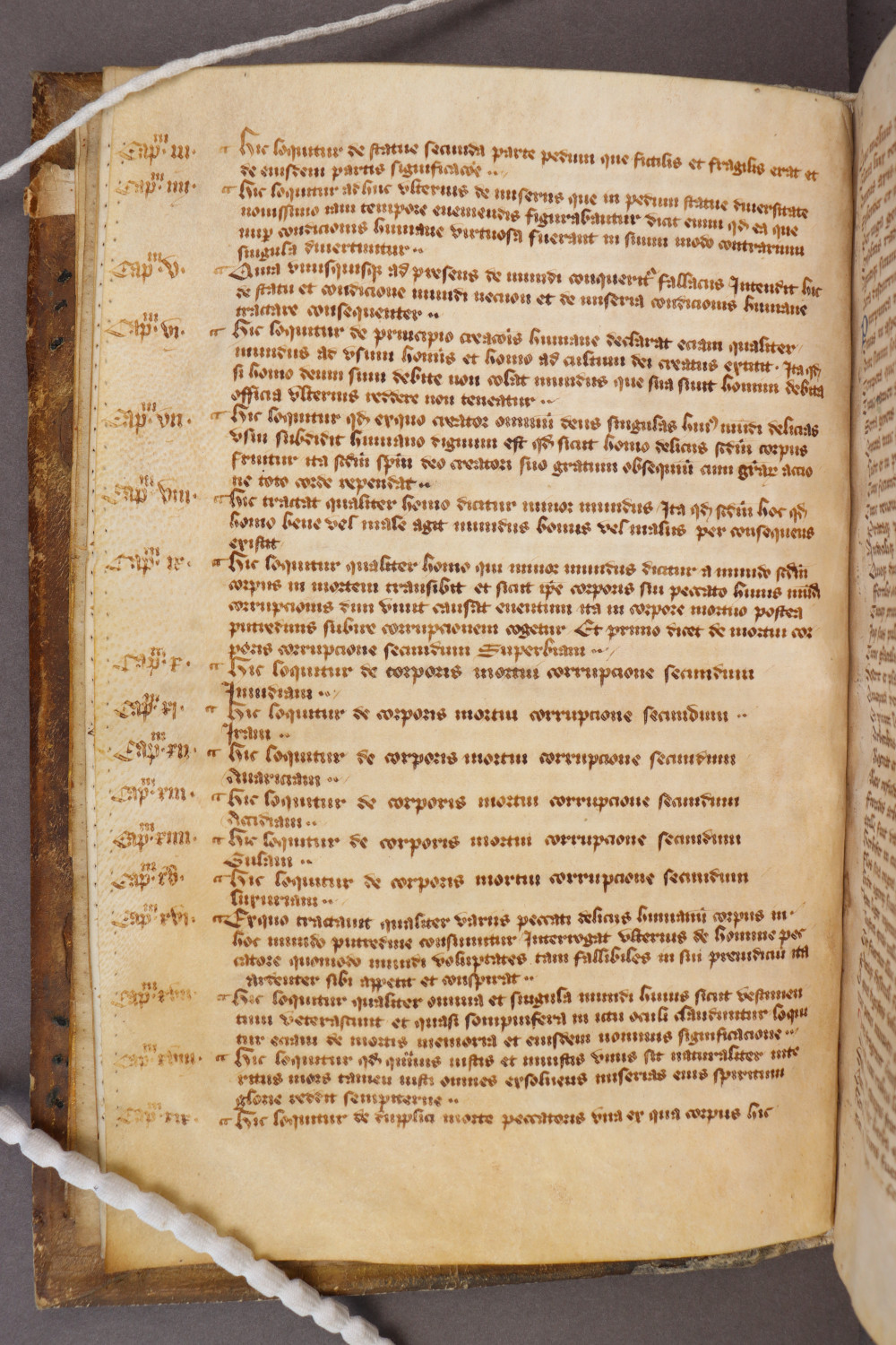 Folio 5 verso